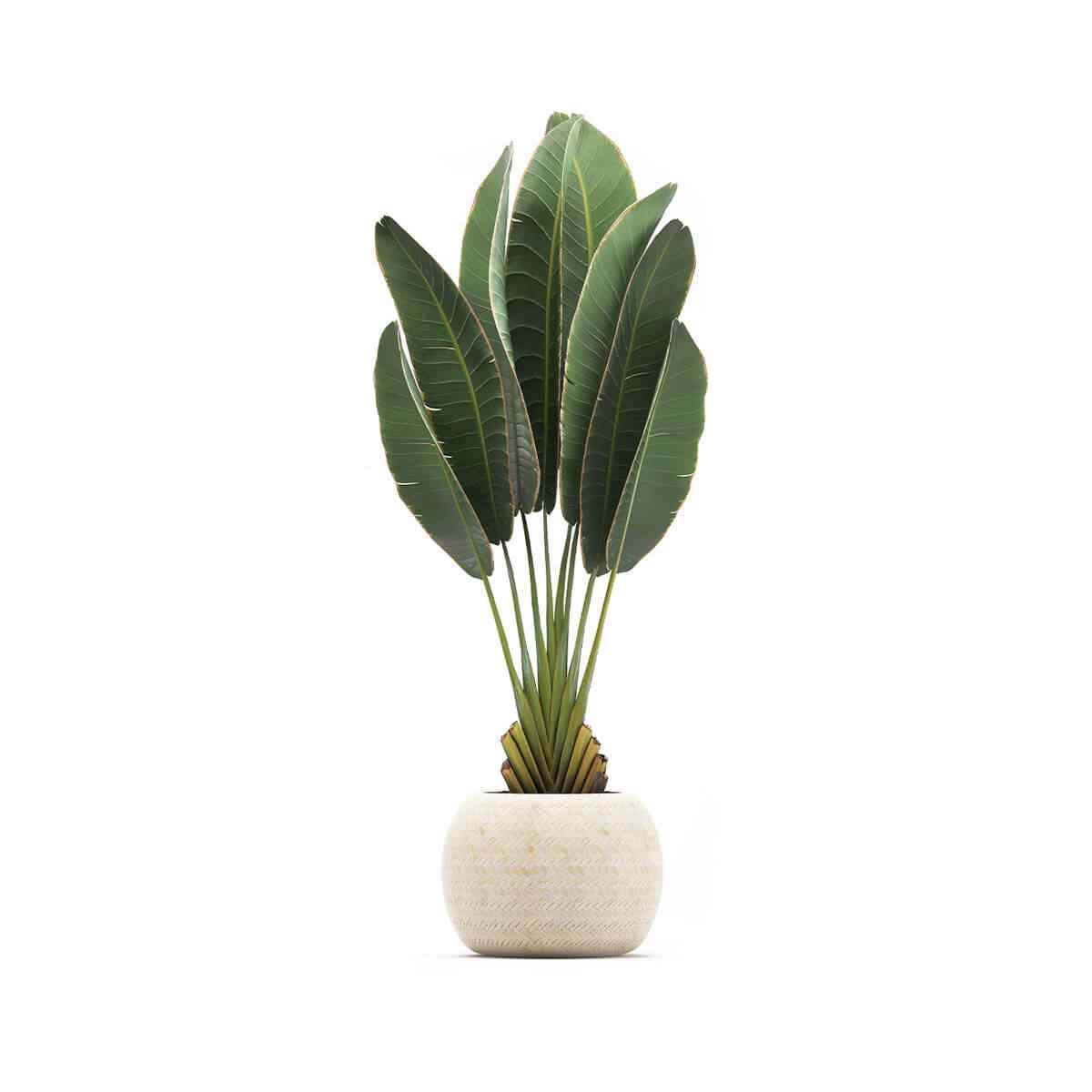 https://www.4tresspointe.com/wp-content/uploads/2018/09/product_06.jpg