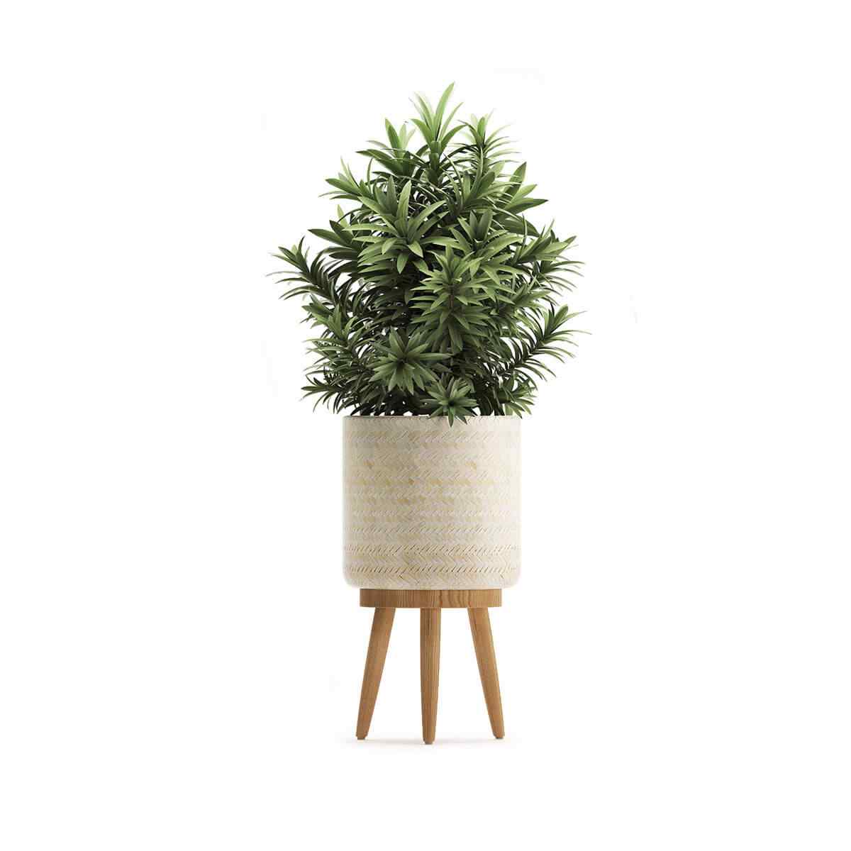 https://www.4tresspointe.com/wp-content/uploads/2018/09/product_07.jpg