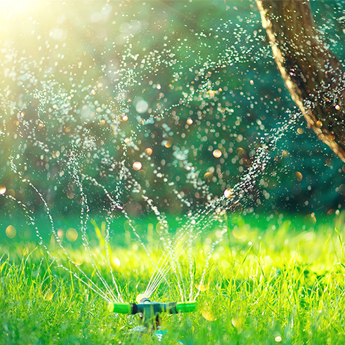 https://www.4tresspointe.com/wp-content/uploads/2020/05/Irrigation-1.jpg