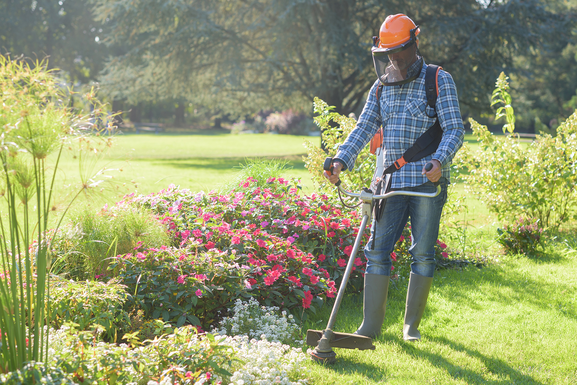 worker mowing the lawn